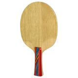 Raqueta soft carbon 2C Giant Dragon para tenis de mesa